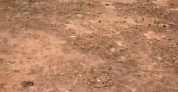 TERRAIN À VENDRE À MISSABOUGOU 20/20 TERRAIN À VENDRE À MISSABOUGOU 20/20