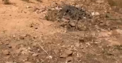 TERRAIN À VENDRE À MISSABOUGOU 20/20 TERRAIN À VENDRE À MISSABOUGOU 20/20