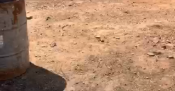 TERRAIN À VENDRE À MISSABOUGOU 20/20 TERRAIN À VENDRE À MISSABOUGOU 20/20