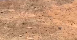 TERRAIN À VENDRE À MISSABOUGOU 20/20 TERRAIN À VENDRE À MISSABOUGOU 20/20