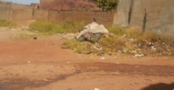 TERRAIN 25/20 À VENDRE À BACODJICORONI TERRAIN 25/20 À VENDRE À BACODJICORONI