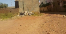 TERRAIN 25/20 À VENDRE À BACODJICORONI TERRAIN 25/20 À VENDRE À BACODJICORONI