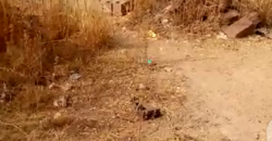 TERRAIN 10/20 À VENDRE À NIAMAKORO COURANI TERRAIN 10/20 À VENDRE À NIAMAKORO COURANI