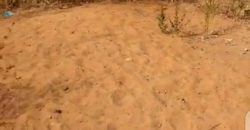 TERRAIN 10/20 À VENDRE À NIAMAKORO COURANI TERRAIN 10/20 À VENDRE À NIAMAKORO COURANI