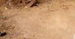 TERRAIN 10/20 À VENDRE À NIAMAKORO COURANI TERRAIN 10/20 À VENDRE À NIAMAKORO COURANI