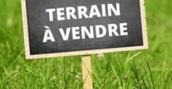 Champ d’un hectare à vendre – Banabani, derrière Kati Champ d’un hectare à vendre – Banabani, derrière Kati