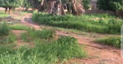 Champ d’un hectare à vendre – Djicoroni Coura, Bamako Champ d’un hectare à vendre – Djicoroni Coura, Bamako