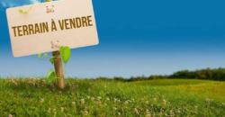 Champ de 5 hectares à vendre – Gouana, Bamako Champ de 5 hectares à vendre – Gouana, Bamako