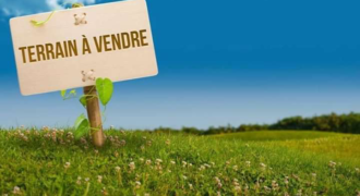 Champ de 5 hectares à vendre – Gouana, Bamako