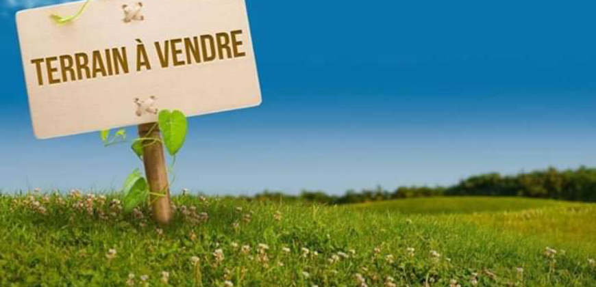 Champ de 5 hectares à vendre – Gouana, Bamako