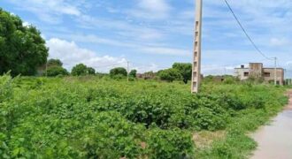 Terrain 300 m² en titre foncier à vendre – Samaya, Bamako