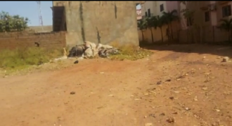 Terrain 500 m² (25/20) à vendre – Baco Djicoroni, Bamako