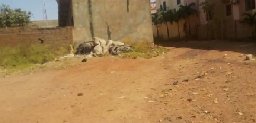 Terrain 500 m² (25/20) à vendre – Baco Djicoroni, Bamako