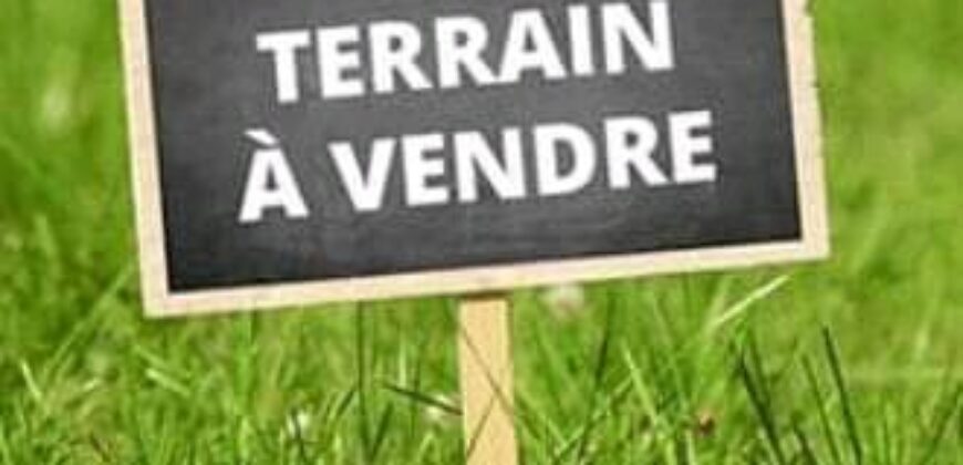 Terrains 300 m² (15/20) à vendre – Magnambougou Djandjiguila