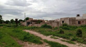 Terrains 300 m² en titre foncier à vendre – Kanadjiguila Ouezin