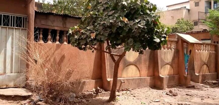 Villa 7 chambres à vendre – Kalaban Coro Adeken