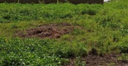 A vendre des Parcelles de terrains en face des Logements sociaux de N’tabakoro A vendre des Parcelles de terrains en face des Logements sociaux de N’tabakoro