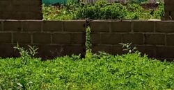 A vendre des Parcelles de terrains en face des Logements sociaux de N’tabakoro A vendre des Parcelles de terrains en face des Logements sociaux de N’tabakoro