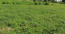 A vendre des Parcelles de terrains en face des Logements sociaux de N’tabakoro A vendre des Parcelles de terrains en face des Logements sociaux de N’tabakoro