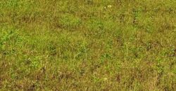 A vendre des Parcelles de terrains en face des Logements sociaux de N’tabakoro A vendre des Parcelles de terrains en face des Logements sociaux de N’tabakoro