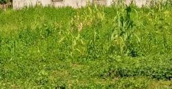 A vendre des Parcelles de terrains en face des Logements sociaux de N’tabakoro A vendre des Parcelles de terrains en face des Logements sociaux de N’tabakoro