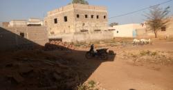 TERRAIN 12.50/20 À VENDRE À NIAMAKORO COURANI WEREDA TERRAIN 12.50/20 À VENDRE À NIAMAKORO COURANI WEREDA