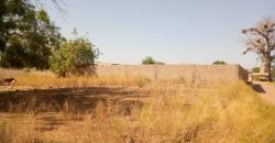 TERRAIN 25/30 À VENDRE À SIRAKORO TERRAIN 25/30 À VENDRE À SIRAKORO