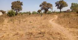 TERRAIN 15/20 À VENDRE À SIRAKORO ZIRAKORO TERRAIN 15/20 À VENDRE À SIRAKORO ZIRAKORO