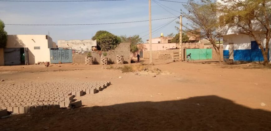 Terrain 300 m² (15/20) à vendre – Niamakoro Kourani