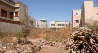 Terrain 300 m² (15/20) à vendre – Sirakoro Cité