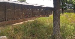 CHAMP A VENDRE A BAGUINEDA: 3 HECTARES TITRE FONCIER CHAMP A VENDRE A BAGUINEDA: 3 HECTARES TITRE FONCIER