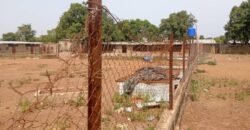 CHAMP A VENDRE A BAGUINEDA: 3 HECTARES TITRE FONCIER CHAMP A VENDRE A BAGUINEDA: 3 HECTARES TITRE FONCIER