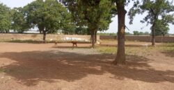 CHAMP A VENDRE A BAGUINEDA: 3 HECTARES TITRE FONCIER CHAMP A VENDRE A BAGUINEDA: 3 HECTARES TITRE FONCIER