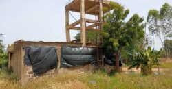 CHAMP A VENDRE A BAGUINEDA: 3 HECTARES TITRE FONCIER CHAMP A VENDRE A BAGUINEDA: 3 HECTARES TITRE FONCIER