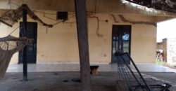 CHAMP A VENDRE A BAGUINEDA: 3 HECTARES TITRE FONCIER CHAMP A VENDRE A BAGUINEDA: 3 HECTARES TITRE FONCIER