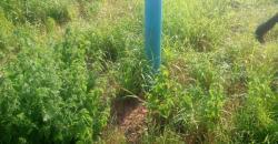 CHAMP A VENDRE A SANANKOROBA: 3 HECTARES TITRE PROVISOIRE CHAMP A VENDRE A SANANKOROBA: 3 HECTARES TITRE PROVISOIRE