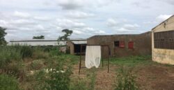 CHAMP OU TERRAIN A VENDRE A KOINGODIAN, 1 HECTARE, TITRE FONCIER CHAMP OU TERRAIN A VENDRE A KOINGODIAN, 1 HECTARE, TITRE FONCIER