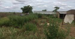 CHAMP OU TERRAIN A VENDRE A KOINGODIAN, 1 HECTARE, TITRE FONCIER CHAMP OU TERRAIN A VENDRE A KOINGODIAN, 1 HECTARE, TITRE FONCIER