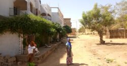 TERRAIN A VENDRE A SEBENICORO KALABANBOUGOU: 300 M2, 15/20 M, TITRE FONCIER TERRAIN A VENDRE A SEBENICORO KALABANBOUGOU: 300 M2, 15/20 M, TITRE FONCIER