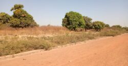 TERRAIN A VENDRE A SAMAYA AU BORD DU FLEUVE, 15/20 M, 300M2, TITRE FONCIER INDIVIDUEL TERRAIN A VENDRE A SAMAYA AU BORD DU FLEUVE, 15/20 M, 300M2, TITRE FONCIER INDIVIDUEL