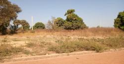 TERRAIN A VENDRE A SAMAYA AU BORD DU FLEUVE, 15/20 M, 300M2, TITRE FONCIER INDIVIDUEL TERRAIN A VENDRE A SAMAYA AU BORD DU FLEUVE, 15/20 M, 300M2, TITRE FONCIER INDIVIDUEL