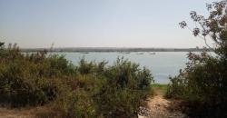 TERRAIN A VENDRE A SAMAYA AU BORD DU FLEUVE, 15/20 M, 300M2, TITRE FONCIER INDIVIDUEL TERRAIN A VENDRE A SAMAYA AU BORD DU FLEUVE, 15/20 M, 300M2, TITRE FONCIER INDIVIDUEL