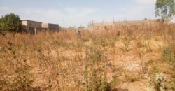 TERRAIN A VENDRE A DIALAKOROBOUGOU: TF, 15/20 M, 300 M2 TERRAIN A VENDRE A DIALAKOROBOUGOU: TF, 15/20 M, 300 M2