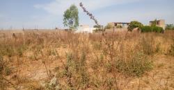 TERRAIN A VENDRE A DIALAKOROBOUGOU: TF, 15/20 M, 300 M2 TERRAIN A VENDRE A DIALAKOROBOUGOU: TF, 15/20 M, 300 M2
