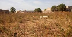 TERRAIN A VENDRE A DIALAKOROBOUGOU: TF, 15/20 M, 300 M2 TERRAIN A VENDRE A DIALAKOROBOUGOU: TF, 15/20 M, 300 M2