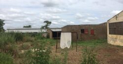 Champ aménagé d’un hectare à vendre – Koïngodian Champ aménagé d’un hectare à vendre – Koïngodian