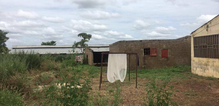Champ aménagé d&rsquo;un hectare à vendre – Koïngodian