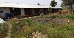 Ferme avicole de 3 hectares à vendre – Baguinéda, titre foncier Ferme avicole de 3 hectares à vendre – Baguinéda, titre foncier