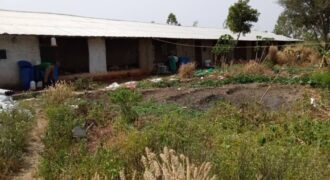 Ferme avicole de 3 hectares à vendre – Baguinéda, titre foncier