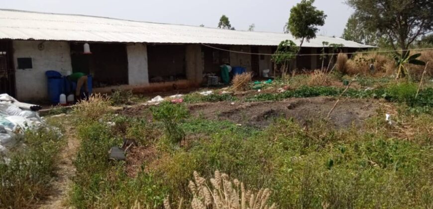 Ferme avicole de 3 hectares à vendre – Baguinéda, titre foncier